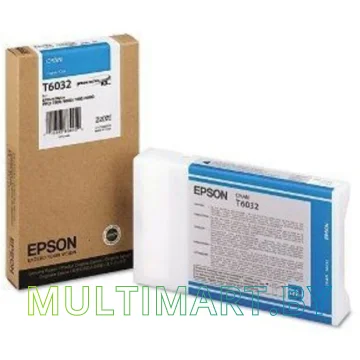 Картридж Epson C13T603200 картинка 3